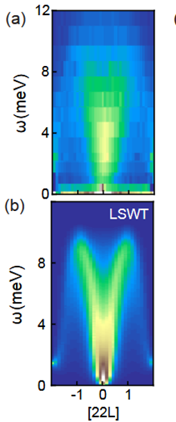 Two stacked heat maps comparing measured inelastic neutron scattering data (a) with a Linear Spin Wave theory calculation (b) for the spin-1 pyrochlore NaCaNi2F7